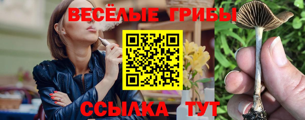 Псилоцибиновые грибы Psilocybine cubensis  Вход с VPN  Котлас 